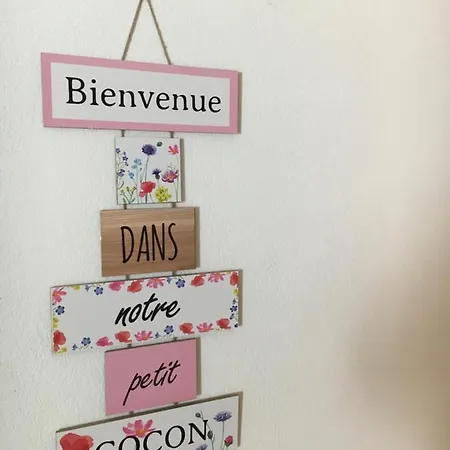 Cosy Les Perruches Apartment Thonon-les-Bains