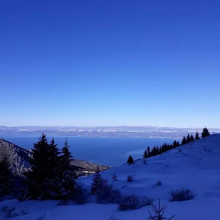 Cosy Les Perruches 아파트